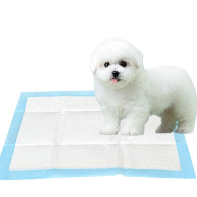 La formation 60*90cm jetable imperméable de chiot capitonne la surface sèche